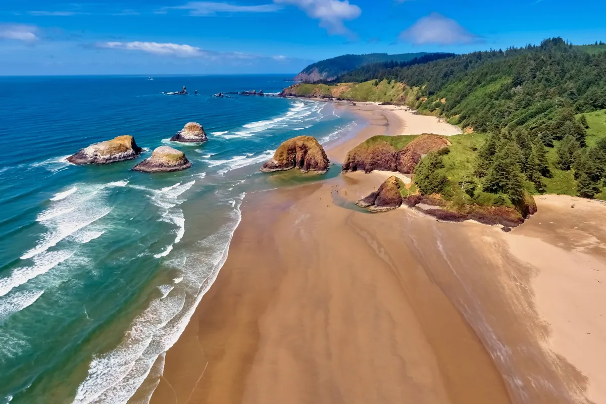 The image shows a serene stretch of sandy beach bordered by striking rock formations, gentle ocean waves, and lush coastal greenery. The mood is peaceful and natural, ideal for exploring with your furry companions.