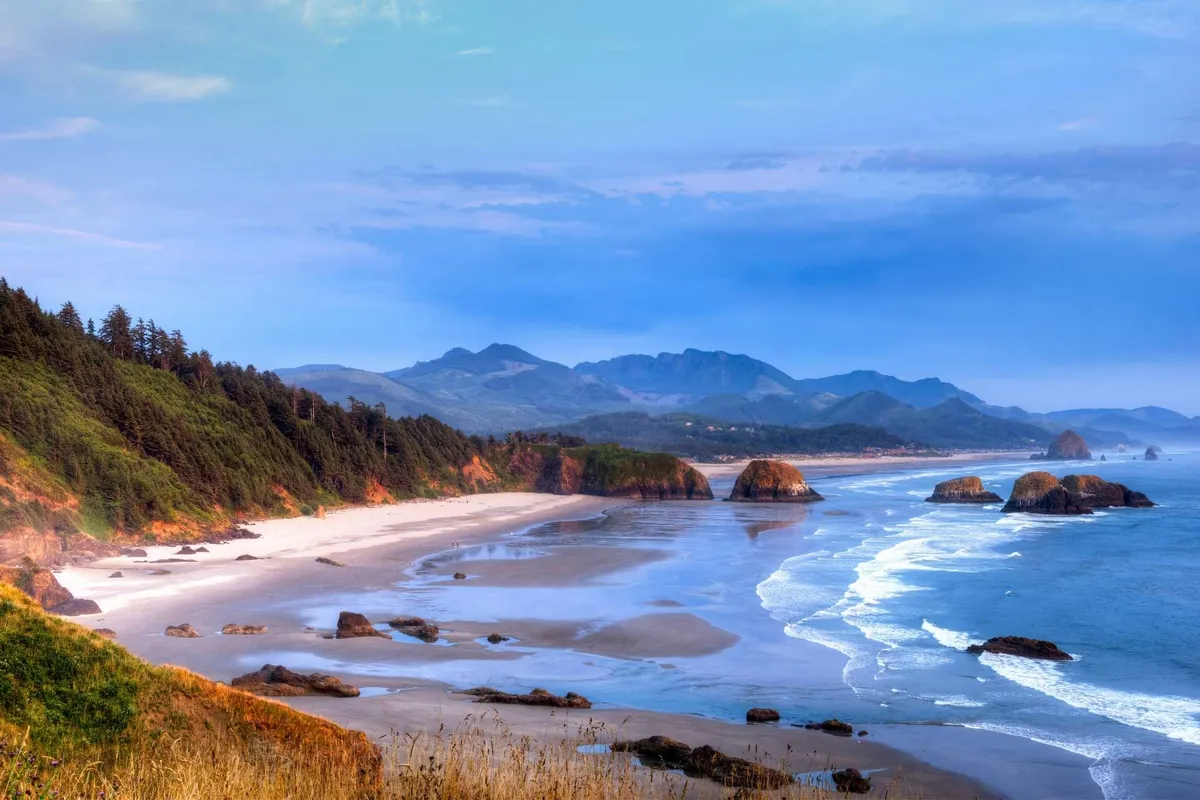 This image features a scenic sandy beach with dramatic rock formations, gentle waves lapping at the shore, and distant mountains on the horizon. The setting is tranquil, inviting long walks and exploration, perfect for both people and their pets.